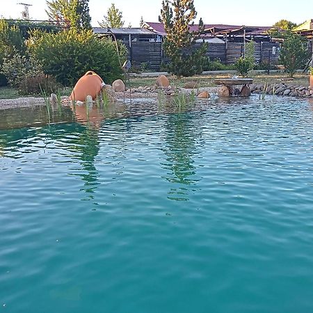 Hotel Albergue Bioclimatico Sabinares Del Arlanza Puentedura 외부 사진