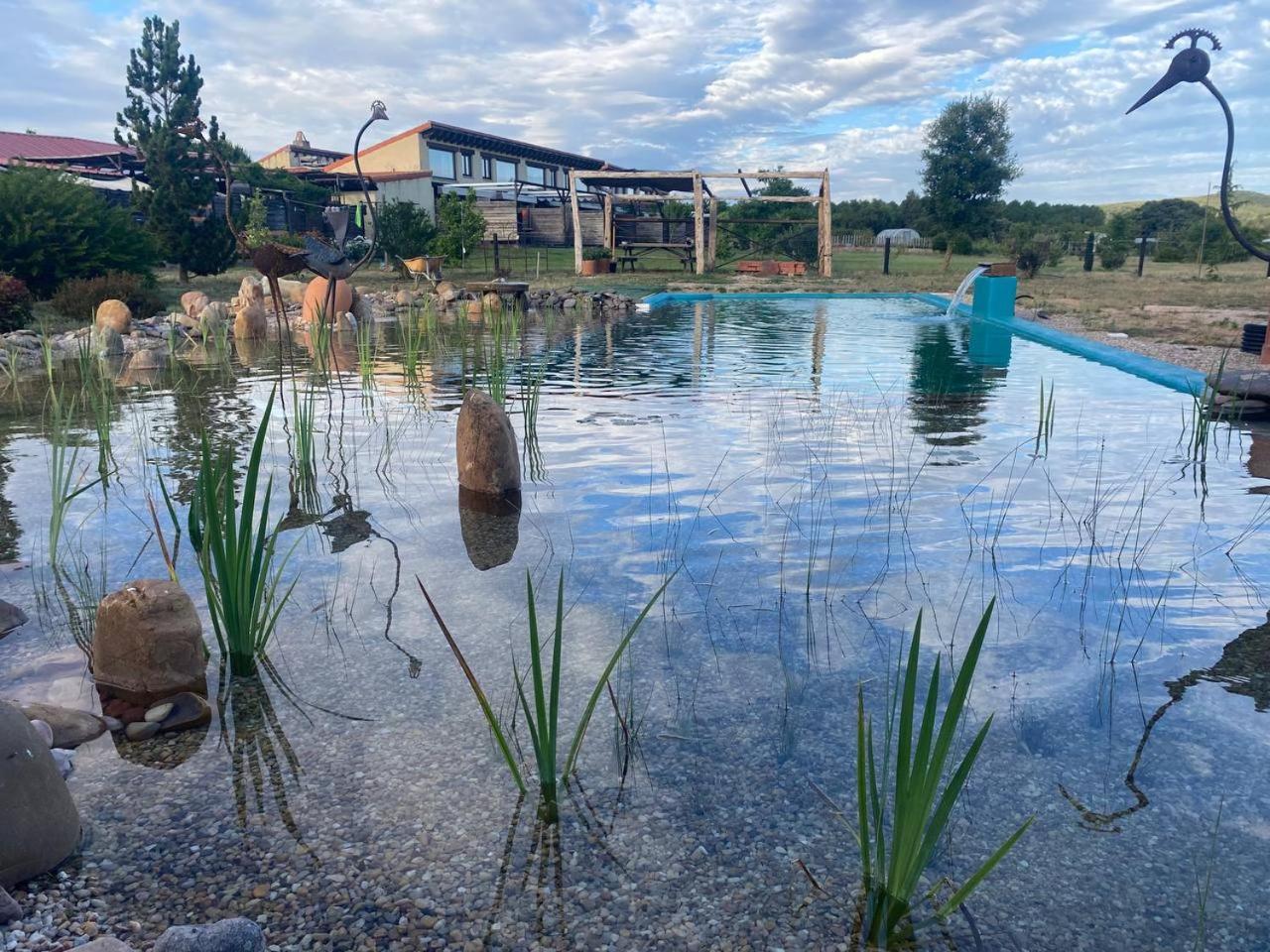 Hotel Albergue Bioclimatico Sabinares Del Arlanza Puentedura 외부 사진