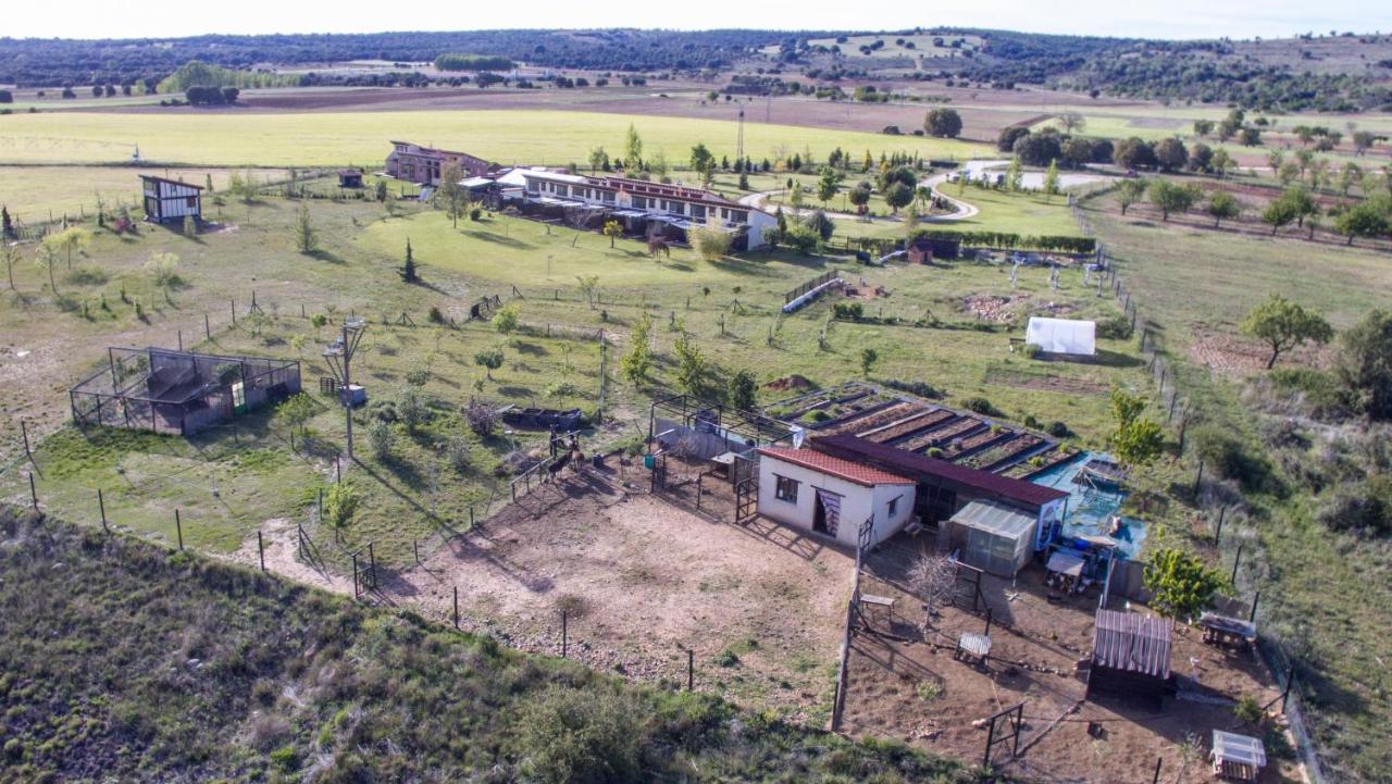Hotel Albergue Bioclimatico Sabinares Del Arlanza Puentedura 외부 사진