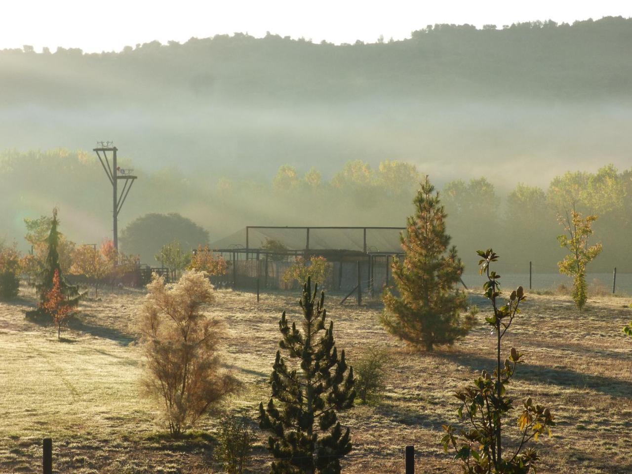 Hotel Albergue Bioclimatico Sabinares Del Arlanza Puentedura 외부 사진